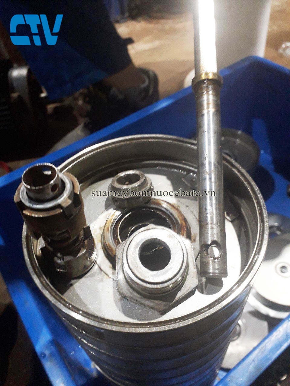 Những Yếu Tố Ảnh Hưởng Đến Tuổi Thọ Của Phớt Máy Bơm Trục Đứng